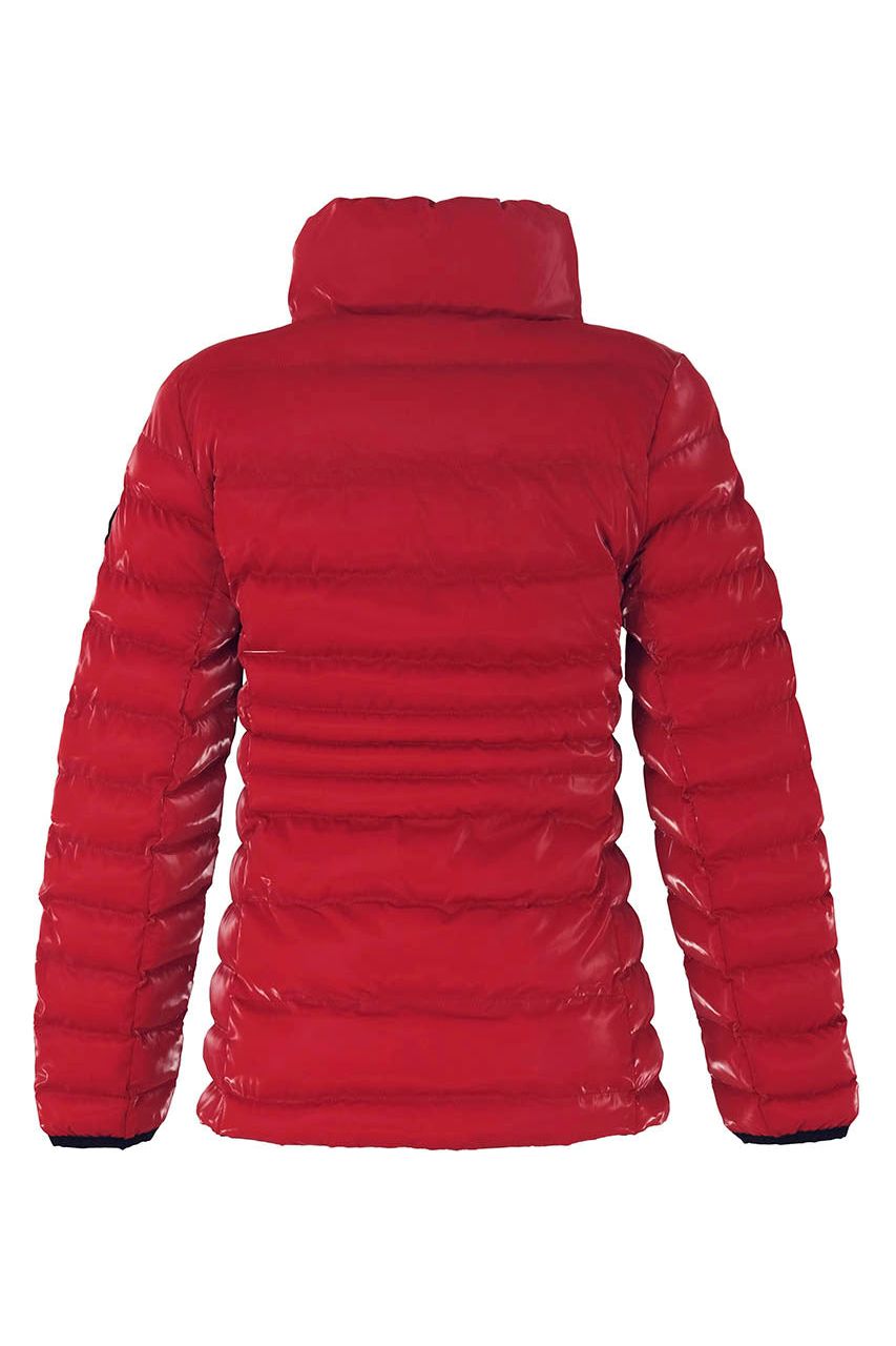 Dolcezza High Collar Puffer Coat - Style 73800, back