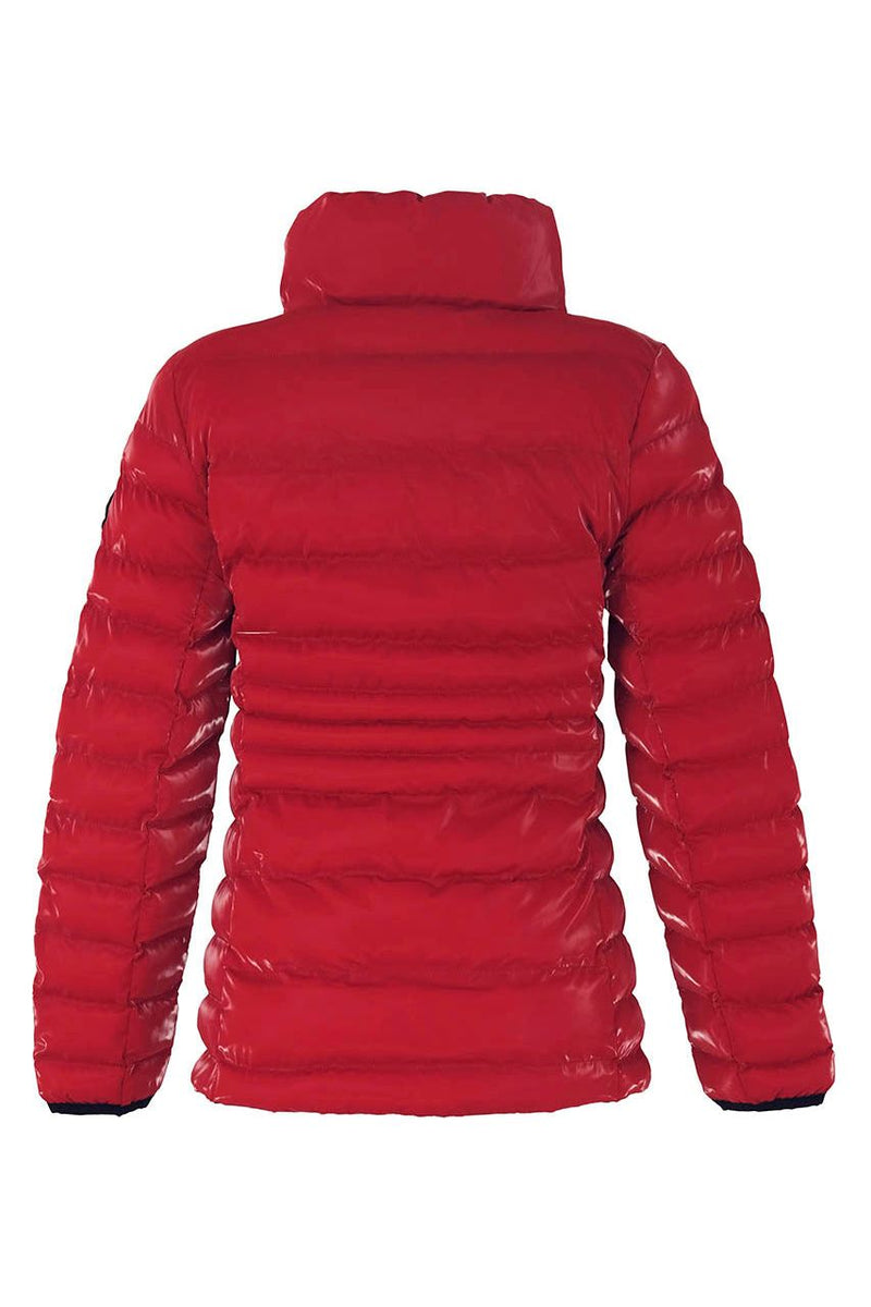Dolcezza High Collar Puffer Coat - Style 73800, back